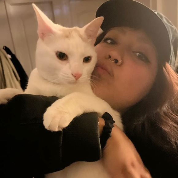 MEET THE SELLER - Picture 1 of 1